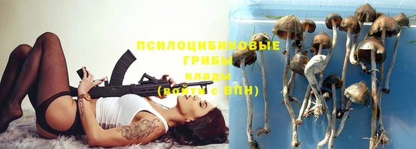 эйфоретик Лабытнанги