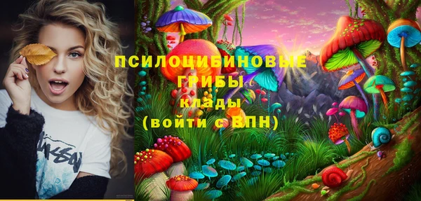шишки Лагань