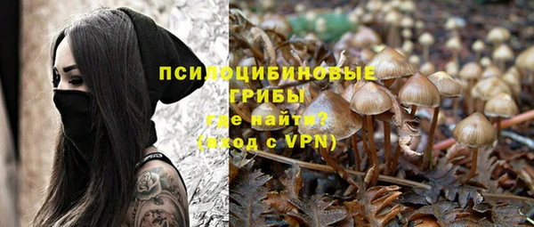 шишки Лагань