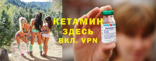 шишки Лагань