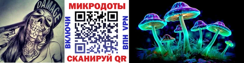купить наркоту  Талица  Псилоцибиновые грибы мицелий 
